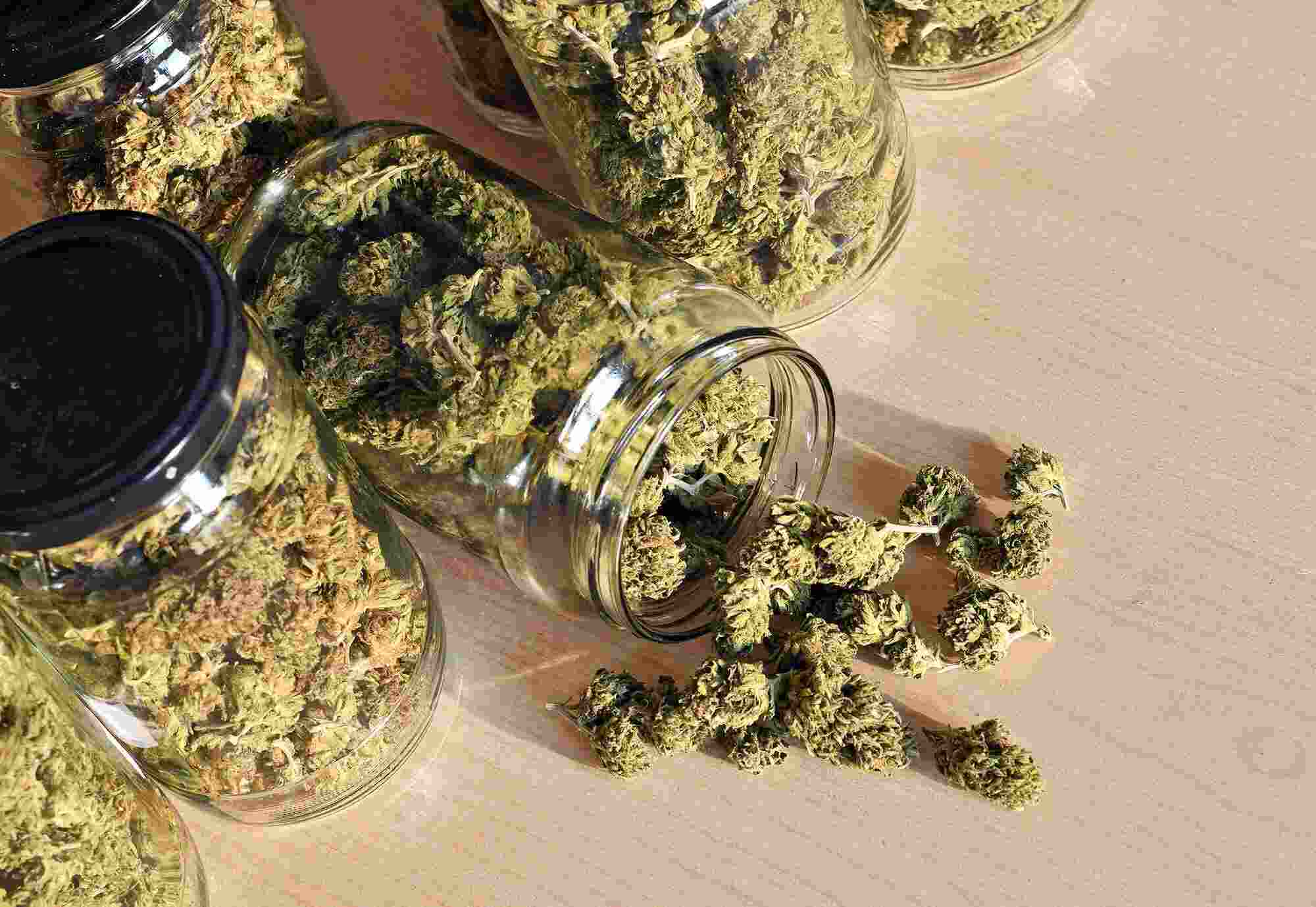 Explore Grabbakush: A Leading Cannabis Dispensary In Bc